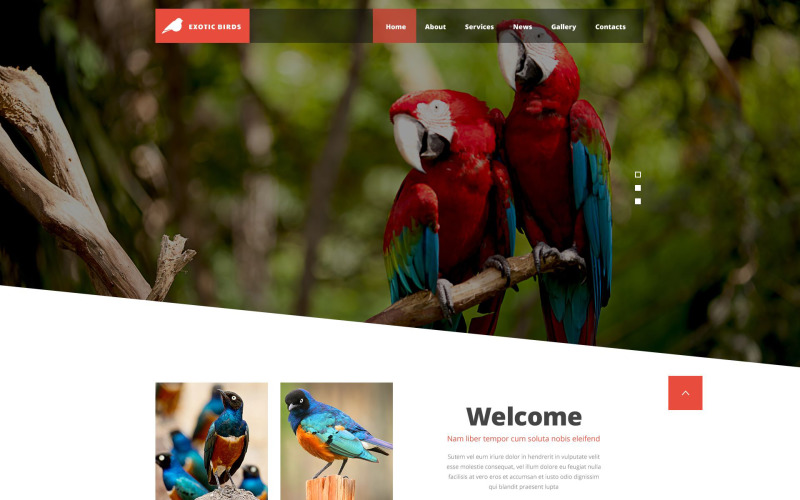 Plantilla Web para Sitio de Aves Exóticas