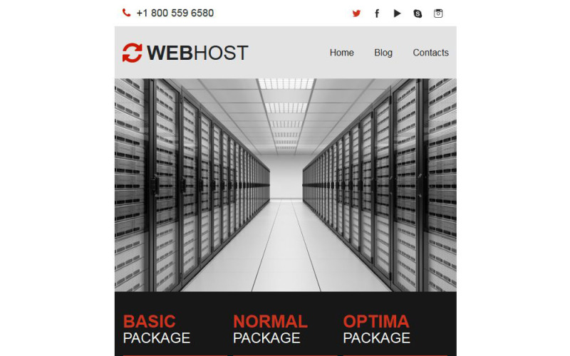 хостинг адаптивного шаблона информационного бюллетеня