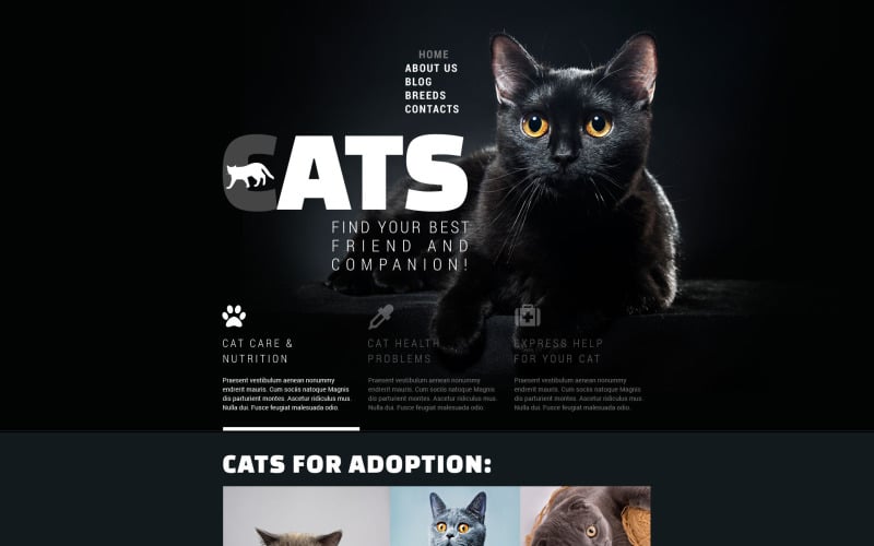 Шаблон сайта клуба кошек