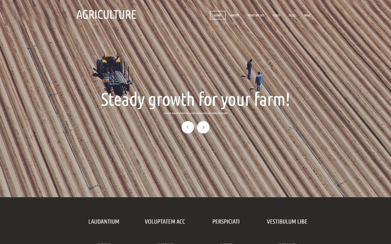 农业组织Joomla模板