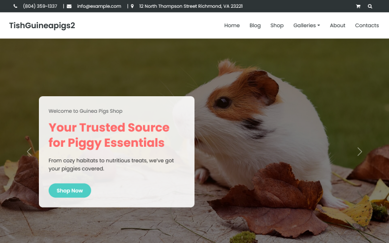 TishGuineaPigs2 - Tema WooCommerce de Porquinhos-da-Índia