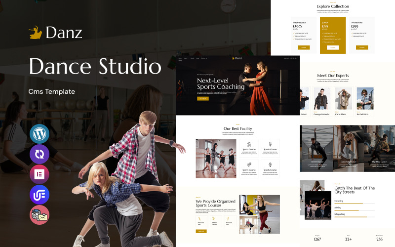 Danz – Tema Wordpress do Estúdio de Dança