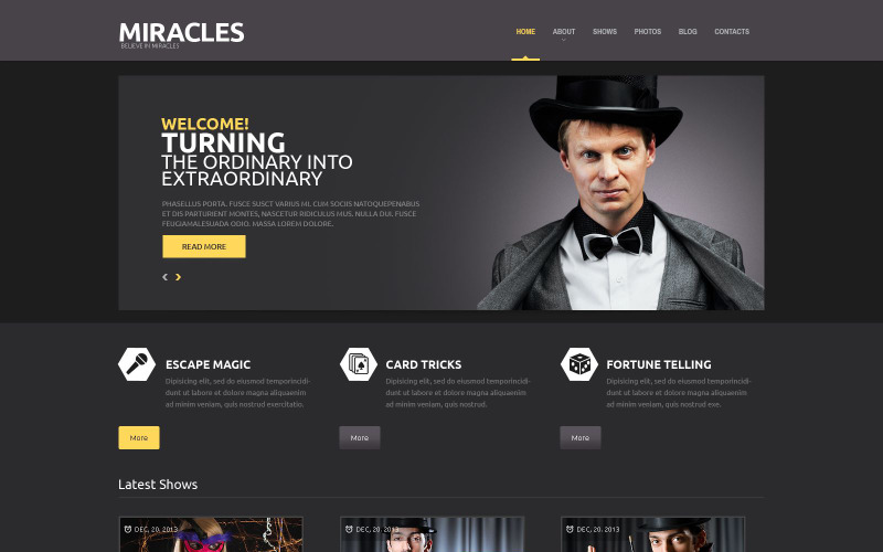Thème WordPress adaptatif pour le divertissement