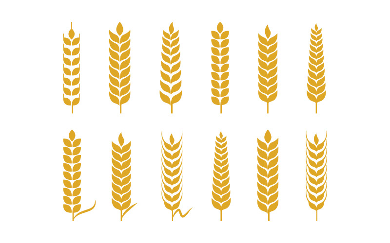 Ilustração vetorial de design de fazenda de trigo e arroz agrícola v3.3