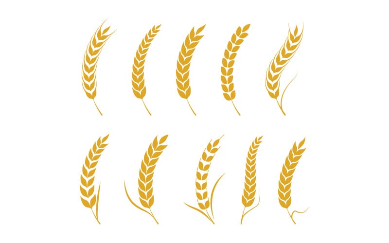 Landwirtschaftliche Farm Weizen Reis Vektor Illustration Design v3.7
