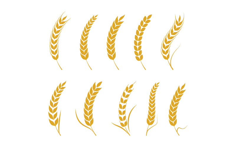 Projekt ilustracji wektorowej gospodarstwa rolnego z pszenicy i ryżu w wersji 3.7