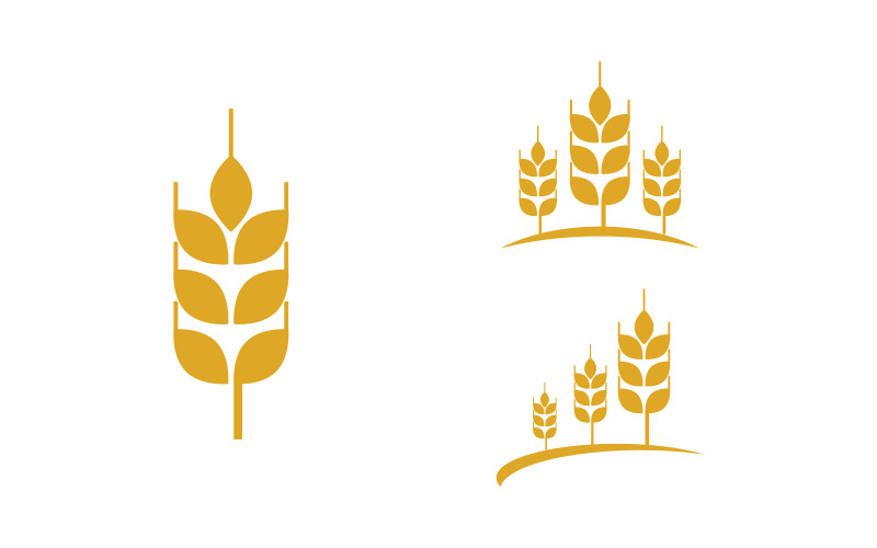 Zemědělská farma pšenice rýže vektorové ilustrace design v3.2