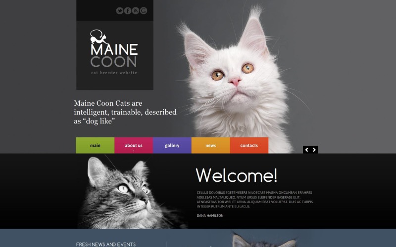 cat moto cms html шаблон