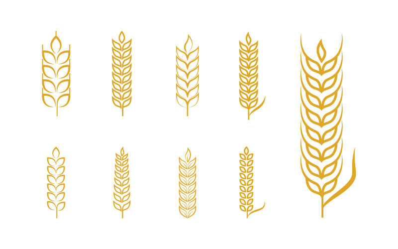 Agriculture Ferme blé riz illustration vectorielle conception v3.4