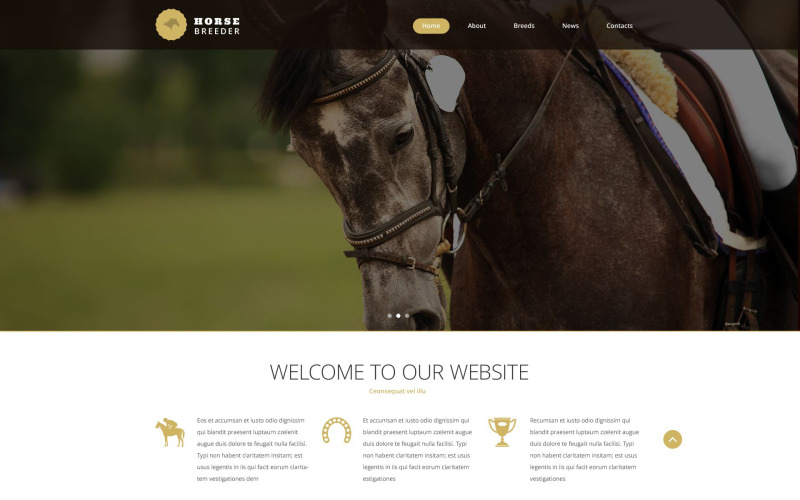 Website sjabloon voor paardenfokker