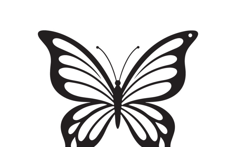 Contour de papillon noir et blanc