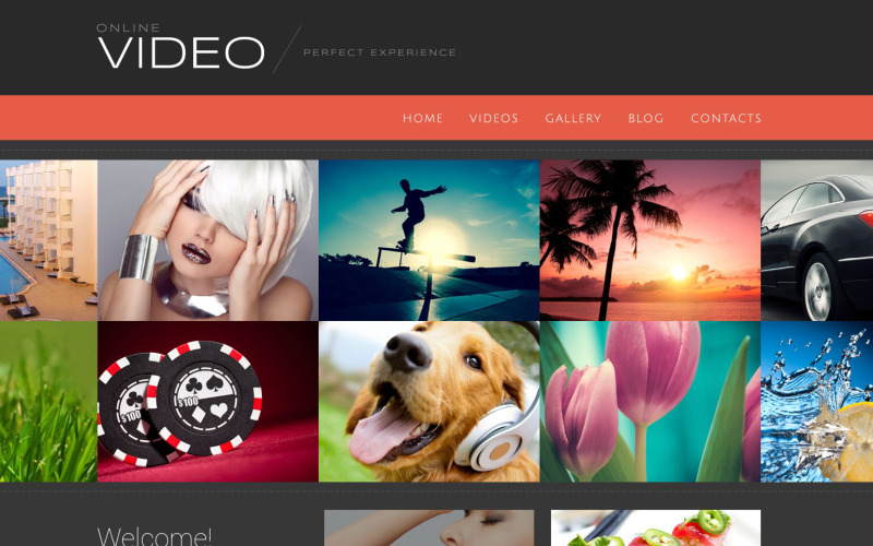 Video Blog WordPress Teması
