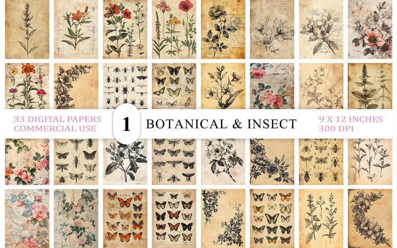Starožitná stránka deníku o přírodě | Koláž s botanickými motýly | Starý papír s botanickou ilustrací