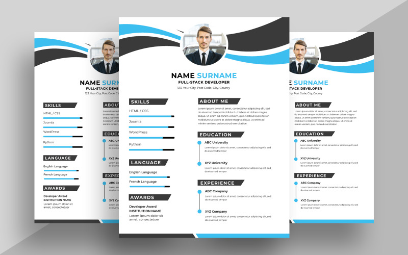 Modern Resume CV Template Ver-10 #541401 - TemplateMonster