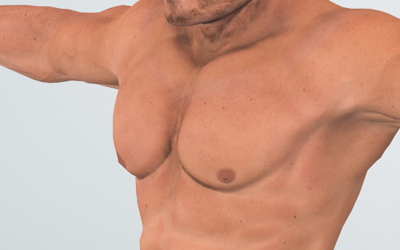 Bodybuilders karakter 3D-model