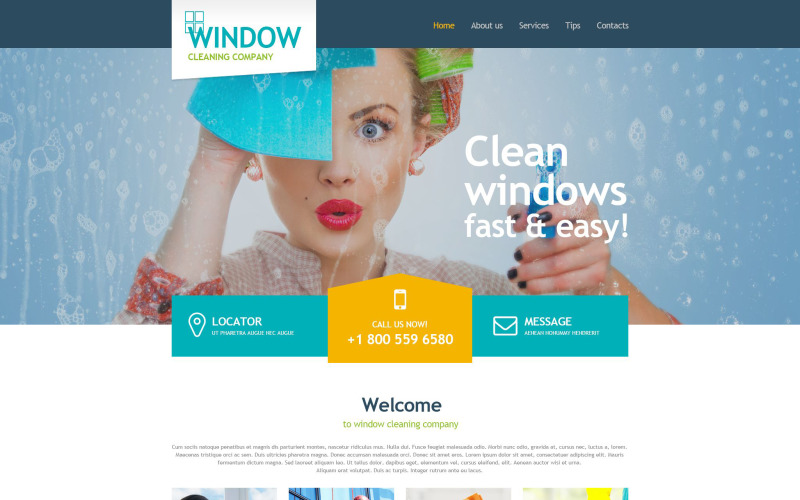 шаблон музы мойки окон