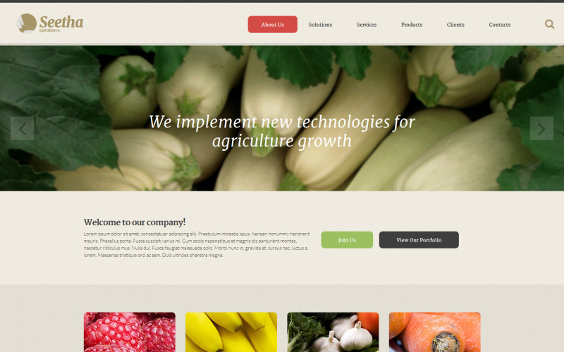 Modèle de site Web Seetha