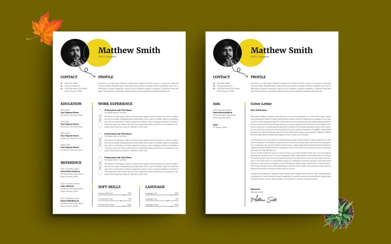 Modello di CV moderno con design professionale e creativo