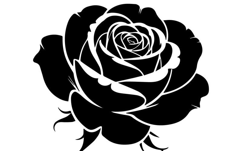 Flowers silhouette vector art illustration