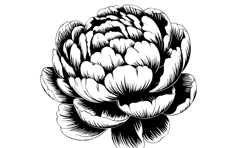 Bloemen silhouet vector kunst