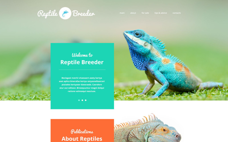 Modèle de site Web d'éleveur de reptiles