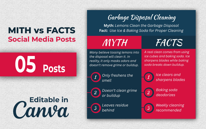 Post Mito vs. Fatti - Post sui social media Mito vs. Fatti - Post di Instagram - Modificabili in Canva