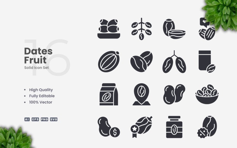 16 Dates Fruit Solid Icons Set