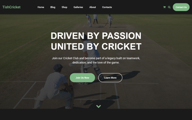 TishCricket - Cricket Club WordPress-thema