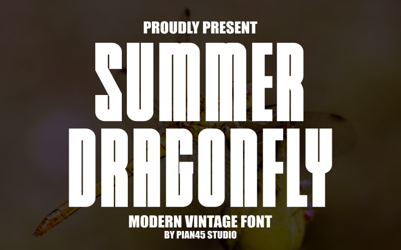 Sommartrollslända - Modernt vintagetypsnitt