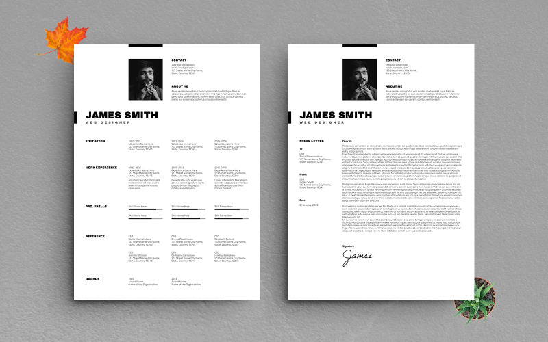 Modello di curriculum minimalista per web designer: design moderno e professionale per CV creativi