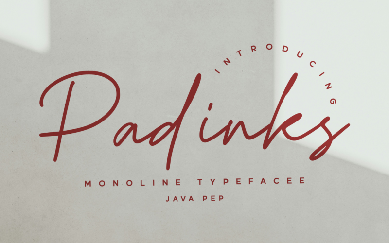 Padinks / Monoline Typeface