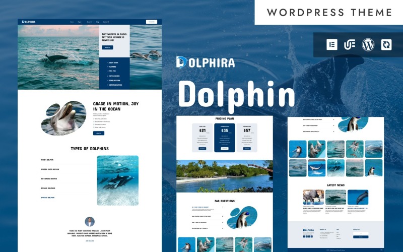 Dolphira - Delfinshow, nöjesparker och roligt vattenlevande WordPress Elementor-tema