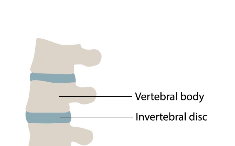 Icono de quiropráctica, fisioterapia y osteopatía para el cuidado moderno de la columna vertebral