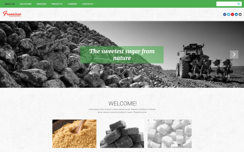 Шаблон веб-сайту цукрової промисловості Франциско