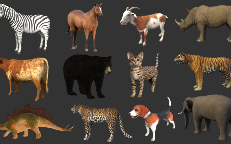 Sammlung von Wildtieren