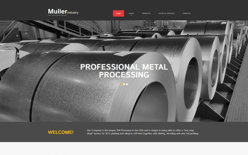 Šablona webu Steel MotoCMS