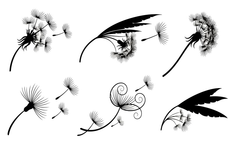 Schwarze Löwenzahn-Silhouetten mit im Wind fliegenden Samen – flaches Design, isoliert auf weißem Hintergrund
