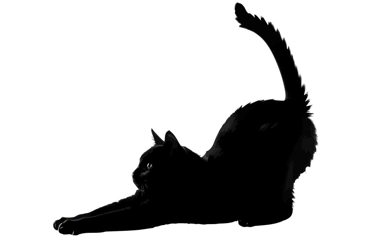 Черная кошка, изящно потягивающаяся в силуэте с вытянутой лапой и хвостом, на белом фоне.