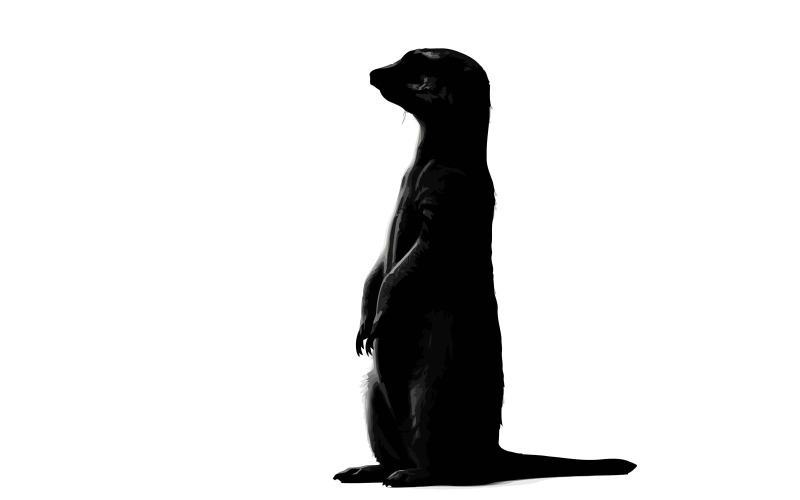 Elegante Pinguin-Silhouette in minimalistischer monochromer Profilansicht, isoliert auf weißem Hintergrund