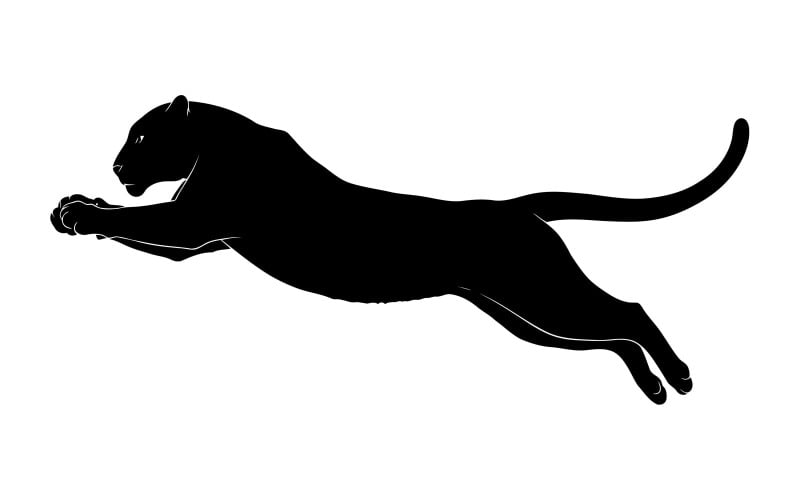 Graciosa pantera negra saltando en el aire con una pose de movimiento dinámico aislada sobre fondo blanco