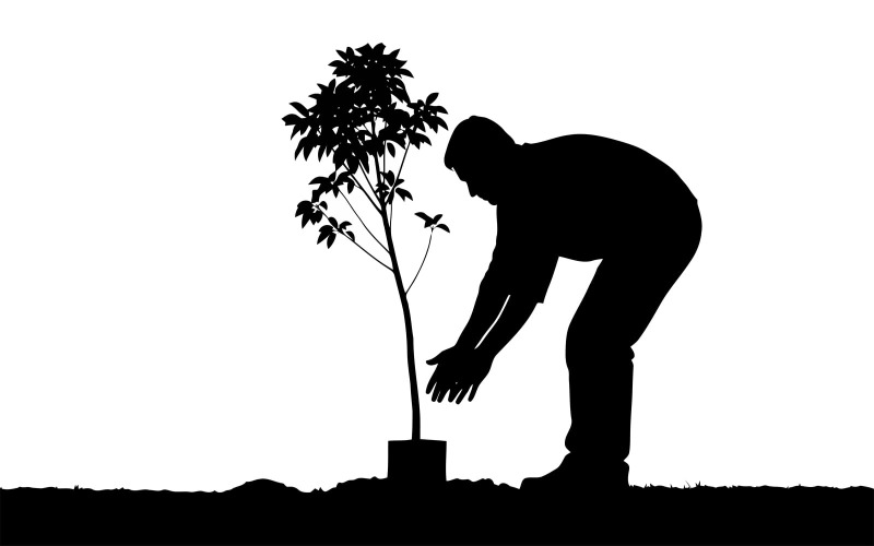 Silhouette d'un jardinier plantant un jeune arbre en pot au crépuscule, isolée sur fond blanc