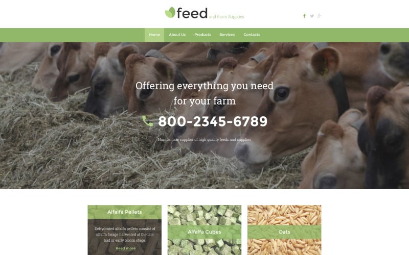 Шаблон адаптивного веб-сайту ферми