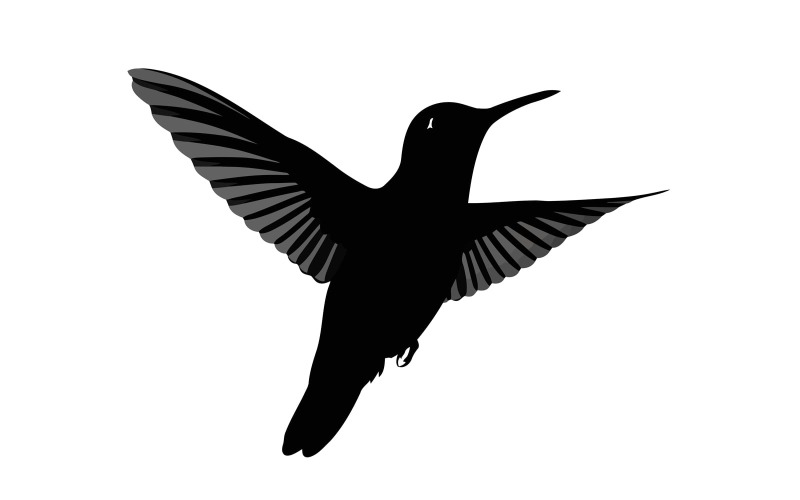 Kecses kolibri sziluett, dinamikus repülés közben, fehér alapon izolálva
