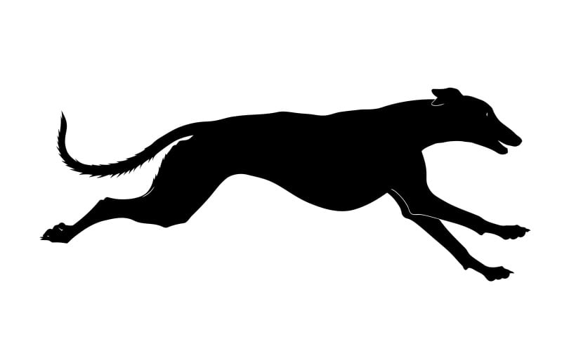 Svart silhuett av en greyhound hund som springer isolerad på vit bakgrund