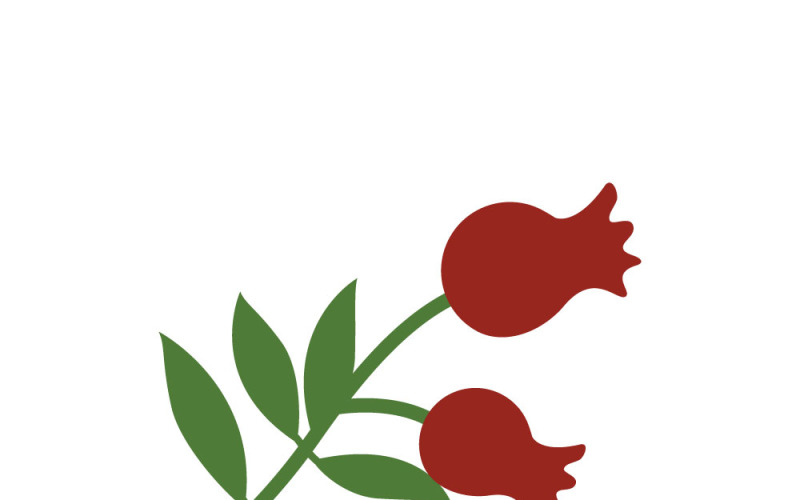 Редагований мальований гранатовий ботанічний ескіз векторної icon