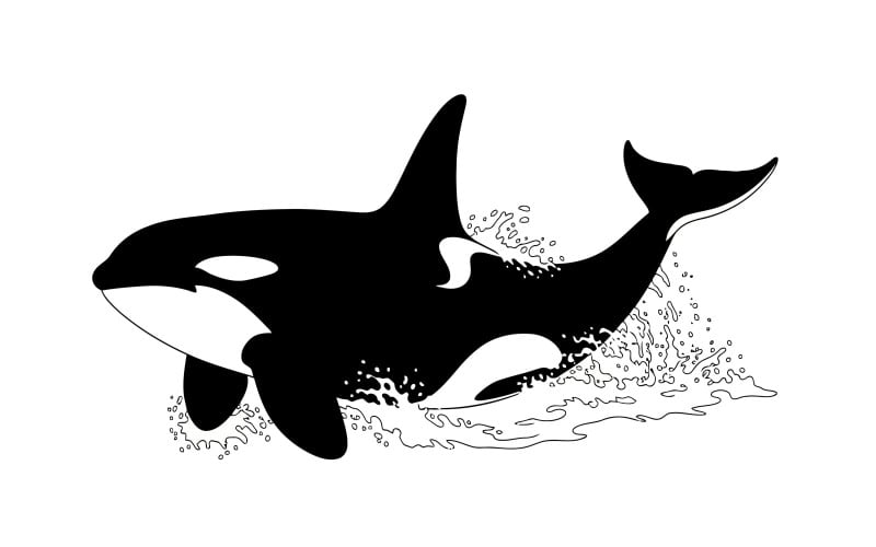 Silueta negra de una orca nadando en el agua con salpicaduras, vector plano aislado sobre fondo blanco