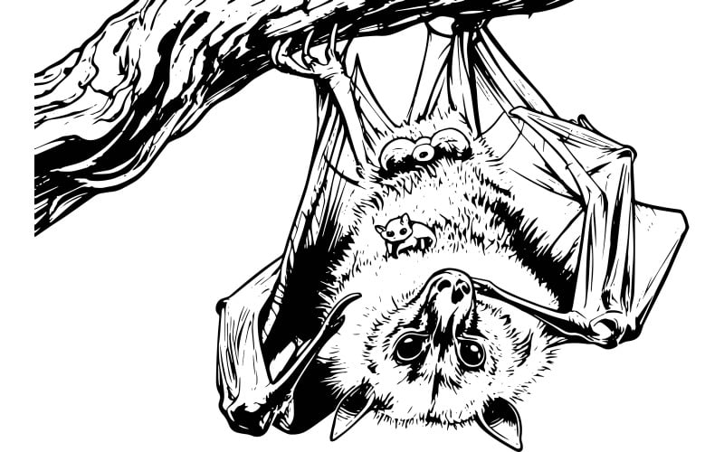 Primo piano di un pipistrello appollaiato su un albero (immagine di illustrazione AI + LineArt vettoriale)