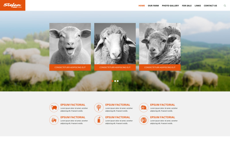 Modèle de site Web de ferme de moutons