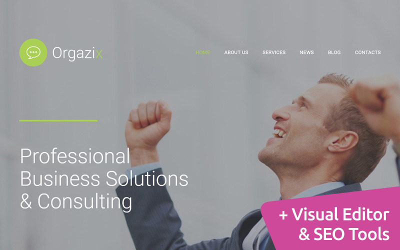 Orgazix - Дизайн веб-страницы Шаблон Moto CMS 3