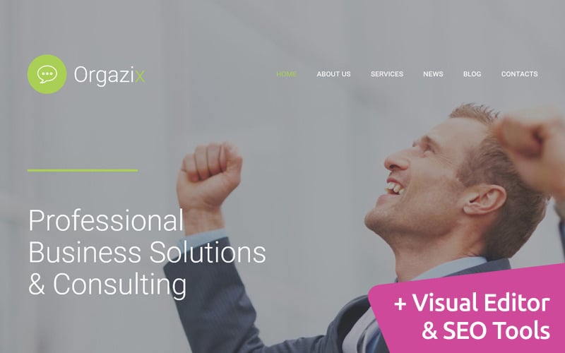 Orgazix - Web Sayfası Tasarımı Moto CMS 3 Şablonu
